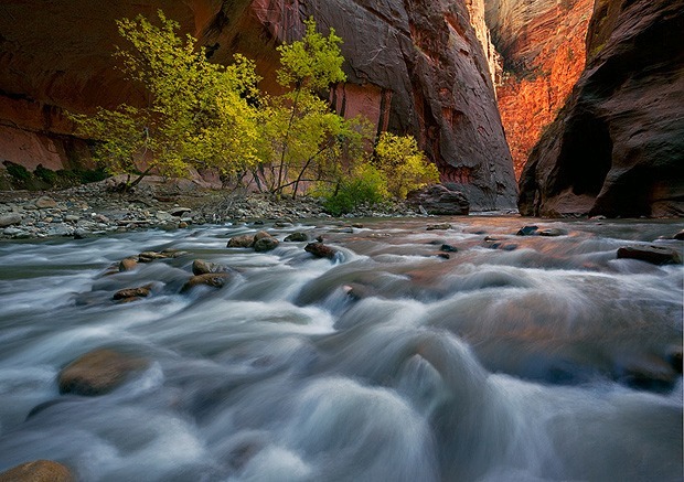Sanctuary - Zion National Park