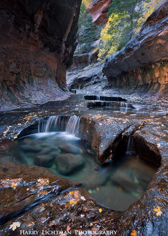 Water Carvings - Zion National Park