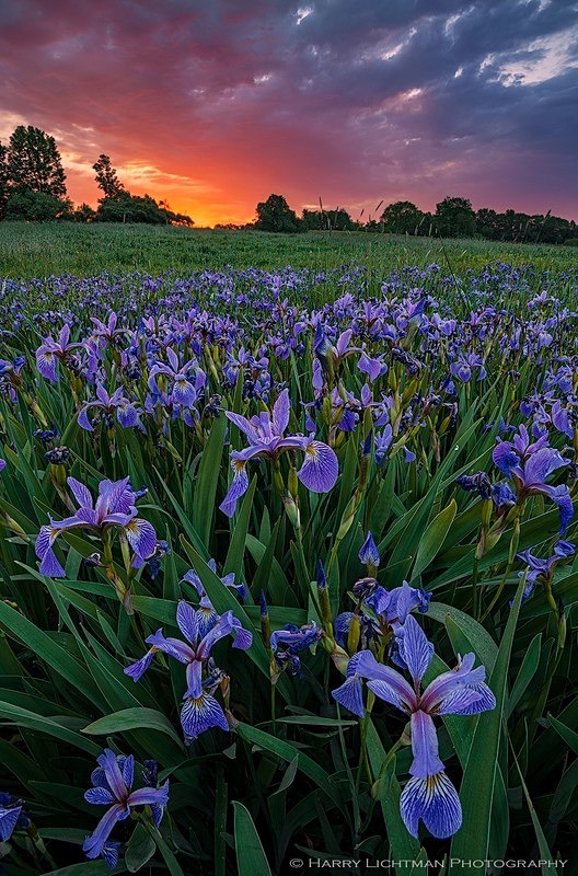Morning Blaze Wagon Hill - New Hampshire Seacoast