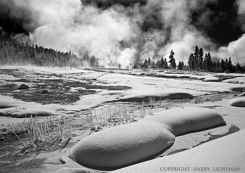 Thermal Fusion - Black & White