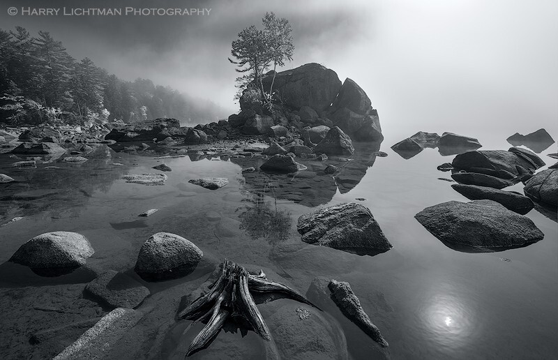 Bonsai in BW - Maine Coast & Mountains
