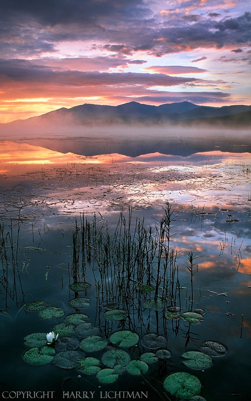 Nirvana - Cherry Pond - New Hampshire Mountains - Streams - Lakes - & Rivers