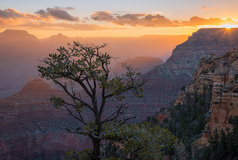 Canyon Daybreak - Grand Canyon - South Rim