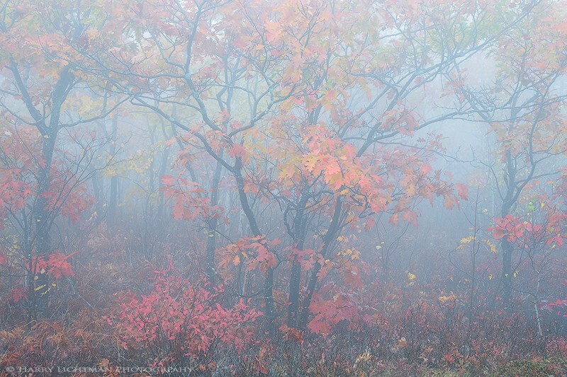 Autumn Impressions - New Hampshire Mountains - Streams - Lakes - & Rivers