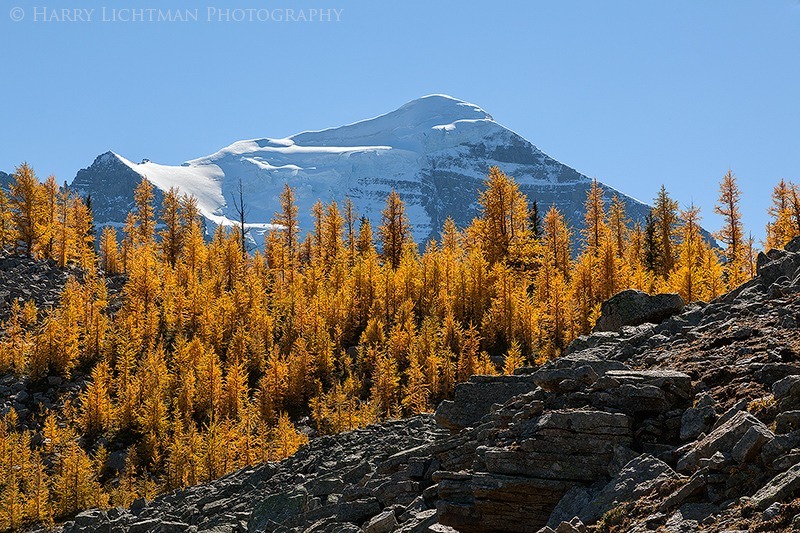 Autumn's Colors - Autumn's Splendor 2014: Jasper, Yoho, Banff, Assiniboine, Lake Louise