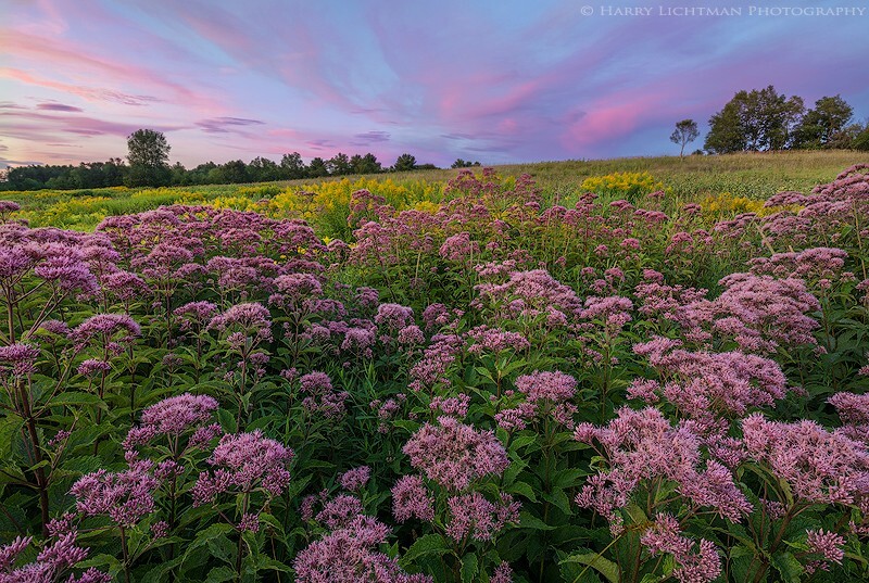 Swamp Sunset - New Hampshire Seacoast