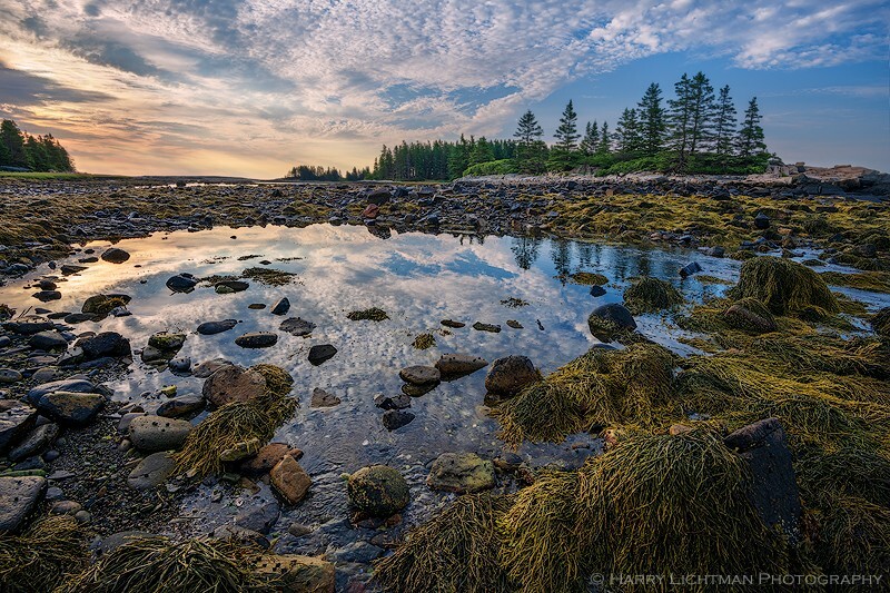 Schoodic Tidal Pools - Maine Coast & Mountains