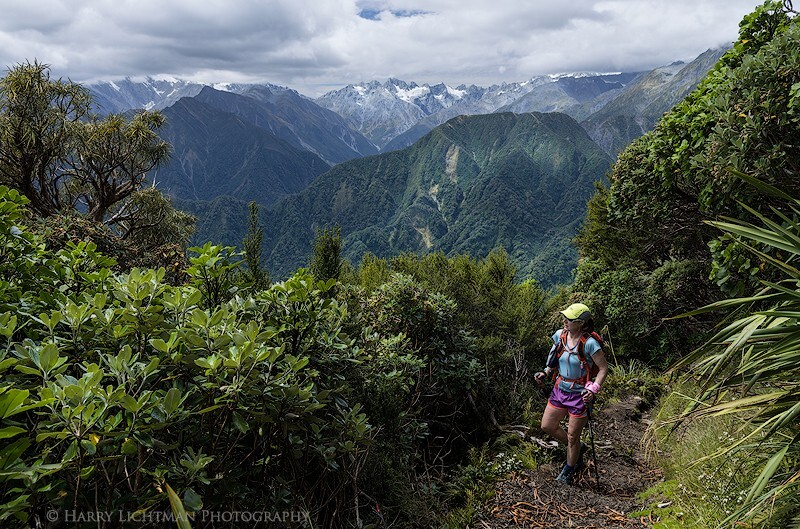 Alex Knob Hike Fox Glacier - New Zealand South Island
