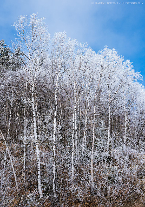Winter's Last Gasp - New Hampshire Mountains - Streams - Lakes - & Rivers