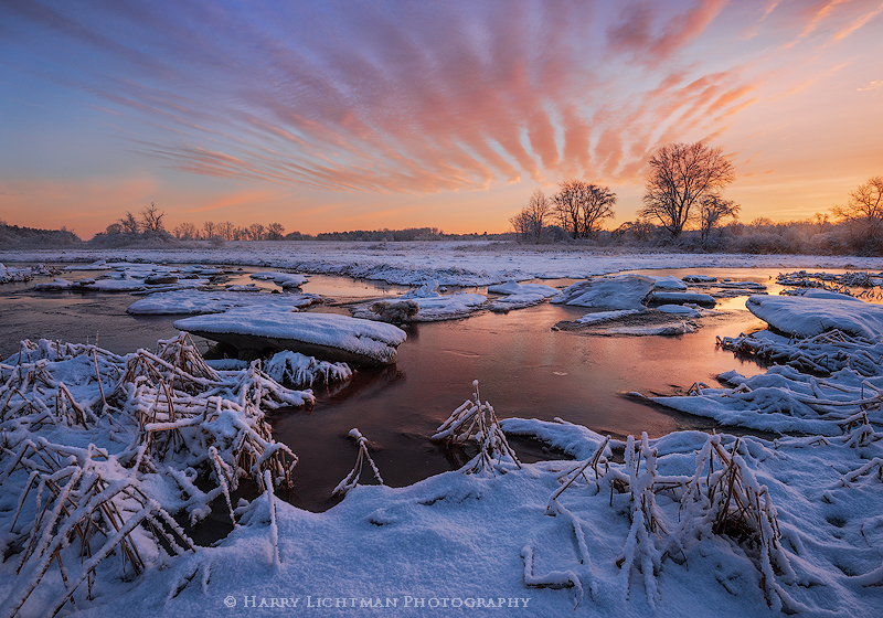 Marsh Magic - New Hampshire Seacoast