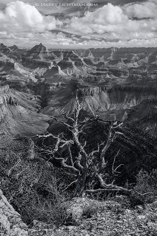 The Edge - Grand Canyon - South Rim
