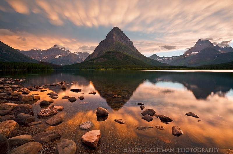 Glacier Gold - Glacier National Park