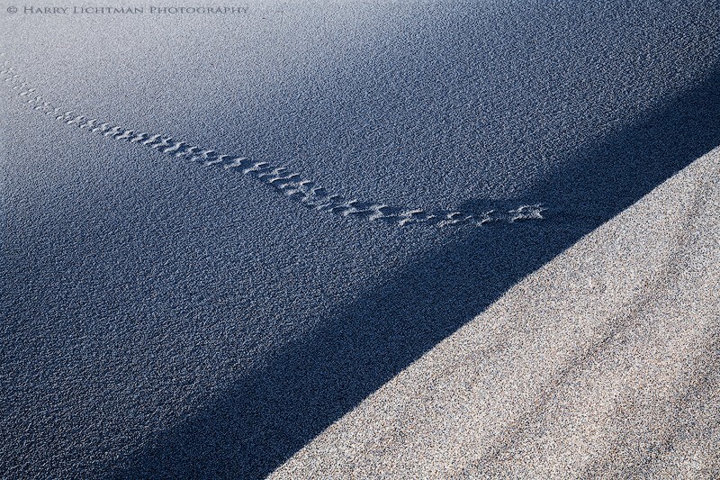Tracks - Death Valley National Park