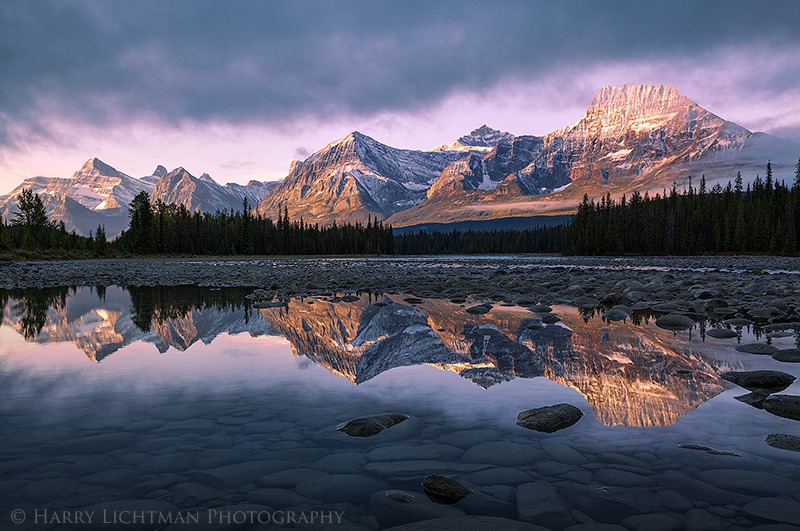 Sun Bathing - Autumn's Splendor 2014: Jasper, Yoho, Banff, Assiniboine, Lake Louise