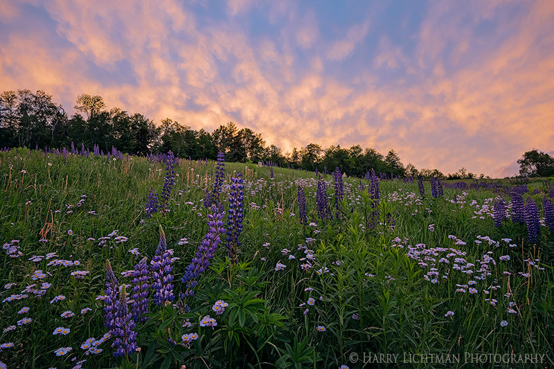 Field of Dreams - New Hampshire Mountains - Streams - Lakes - & Rivers