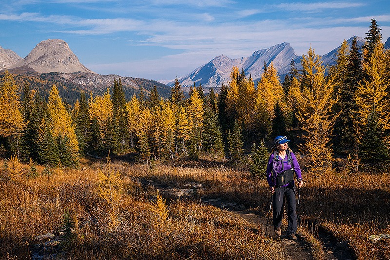 Wonder Pass Larch - From the Trail