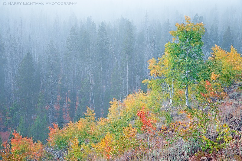 Unveiled - Sawtooth Wilderness Idaho