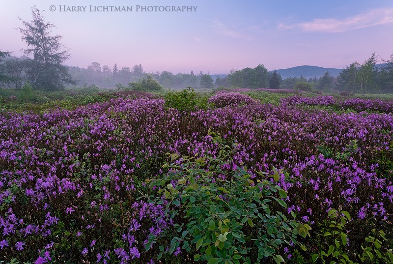 Carpet of Color - New Hampshire Mountains - Streams - Lakes - & Rivers