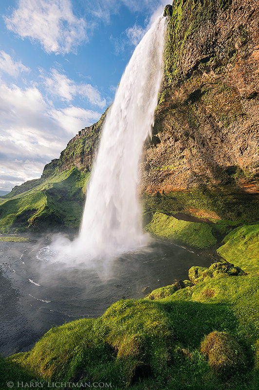 Golden Seljalandsfoss - Terrestrial Iceland