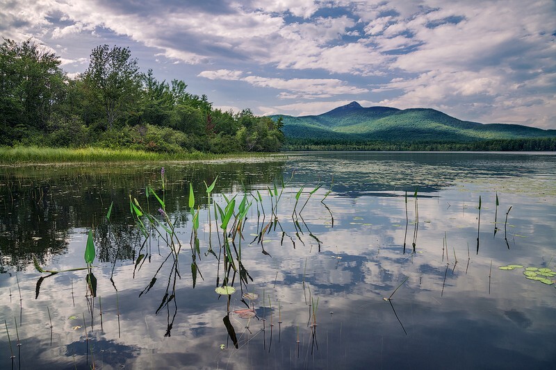 Chocorua Summer Heat - New Hampshire Mountains - Streams - Lakes - & Rivers