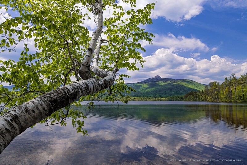 Chocorua Spring - New Hampshire Mountains - Streams - Lakes - & Rivers
