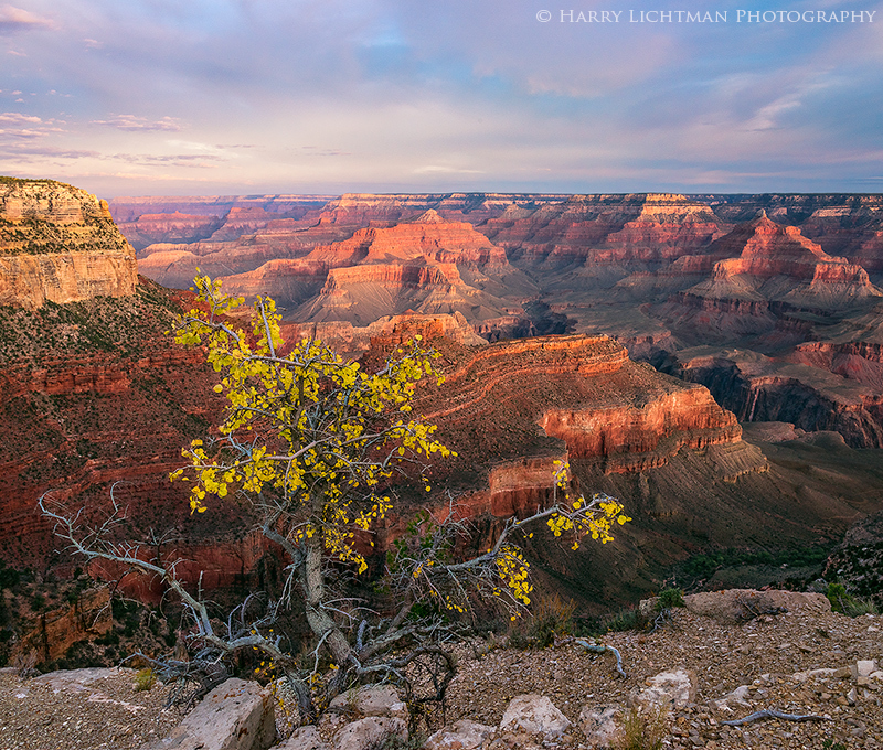 Autumn on the Edge - Grand Canyon - South Rim