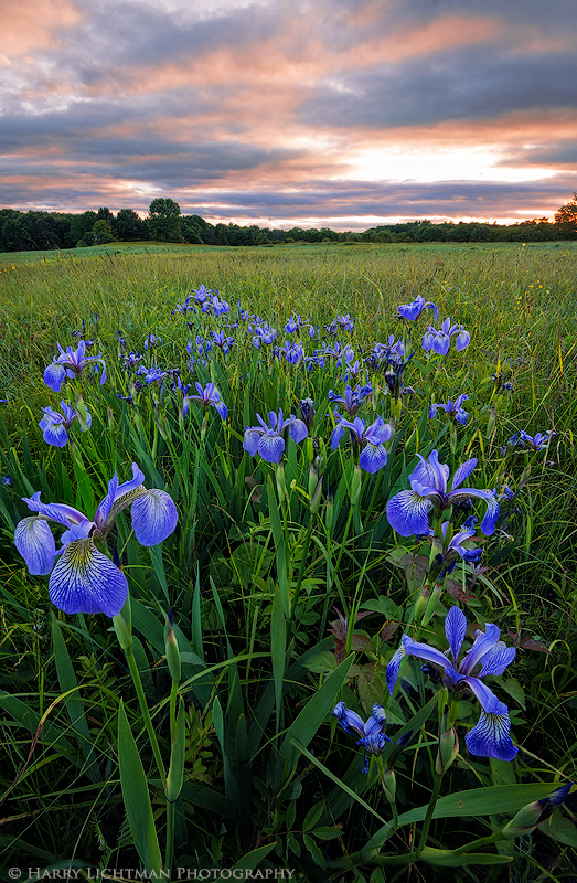 Dusk on the Meadow - New Hampshire Seacoast