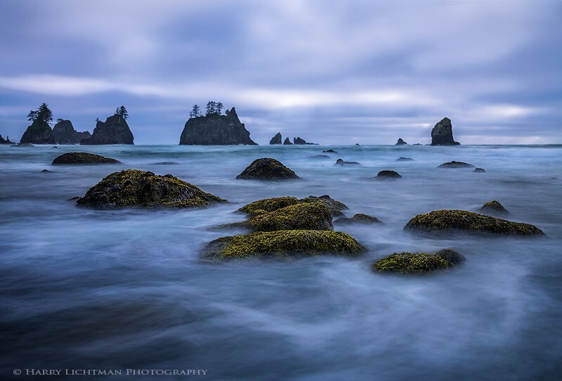 Pacific Dreams - Olympic National Park