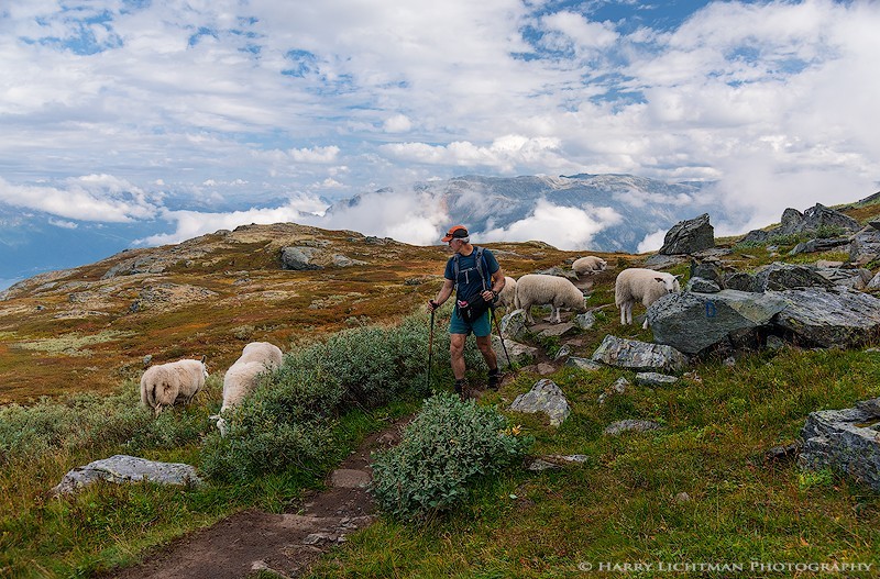 Hardangervidda Crossing - Norway