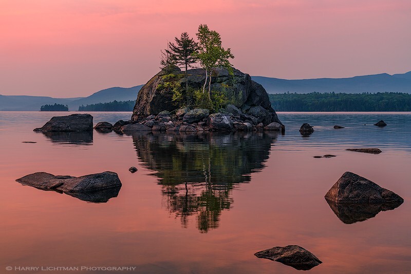 Bonsai Portrait - Maine Coast & Mountains