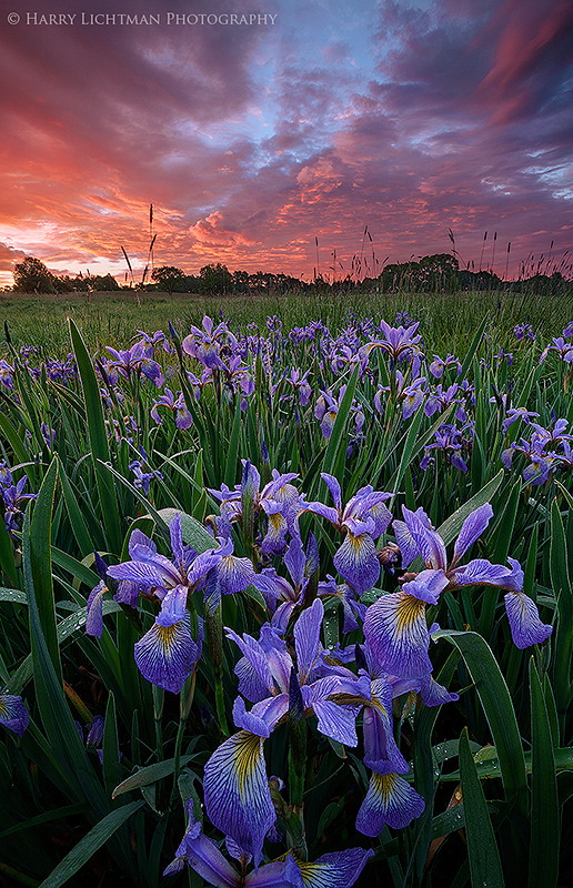 Wagon Hill Sunrise - New Hampshire Seacoast