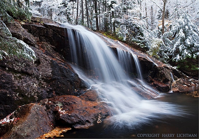 Winter Dusting - Thomson Falls