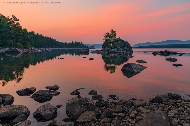 Bonsai Cove - Maine Coast & Mountains
