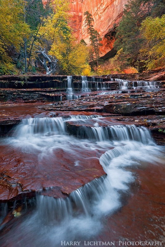 Arch Angel Paradise - Zion National Park
