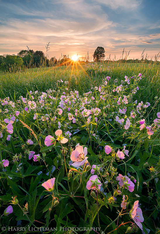 Return to Wagon Hill - New Hampshire Seacoast