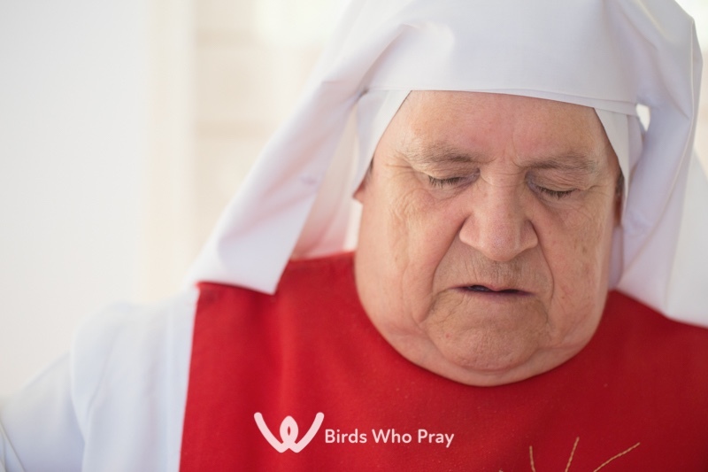  - Birds Who Pray