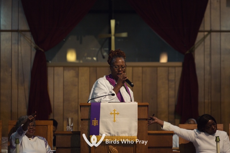  - Birds Who Pray