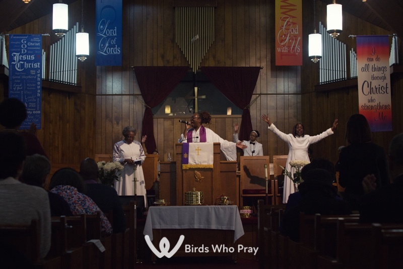  - Birds Who Pray