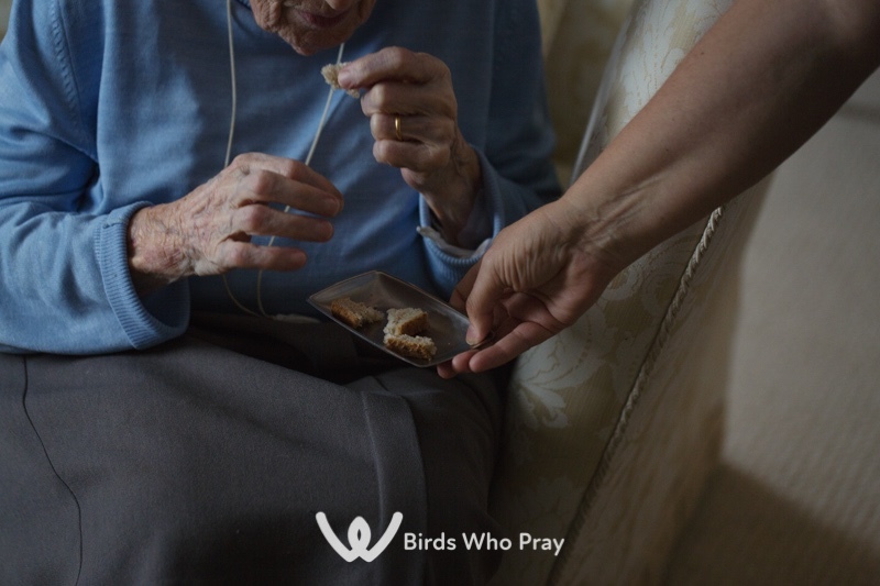  - Birds Who Pray