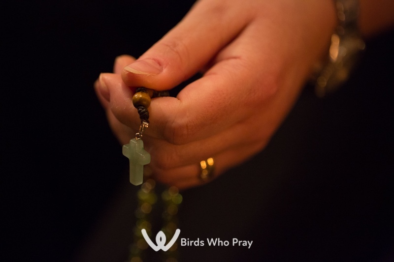 - Birds Who Pray
