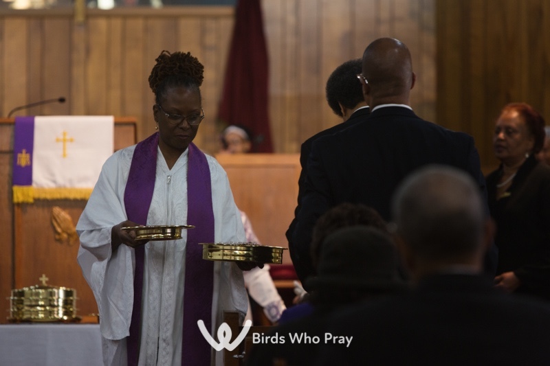  - Birds Who Pray
