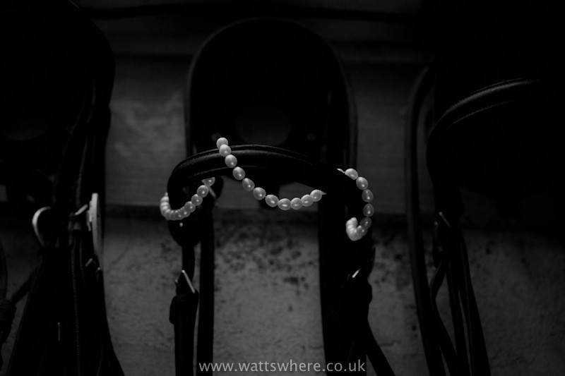 Pearls bridle - Ladies Who...