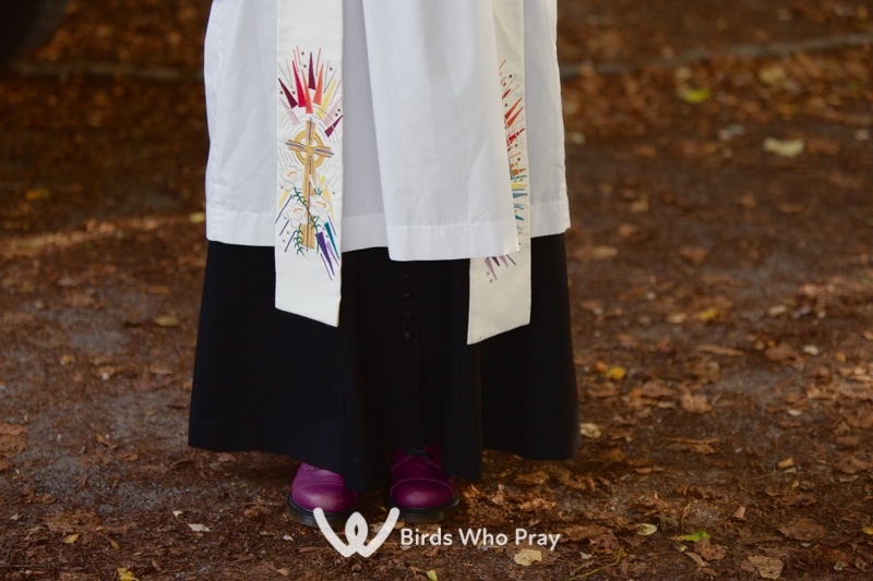  - Birds Who Pray