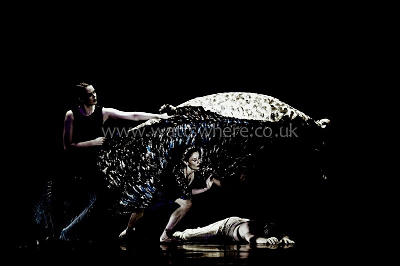 Australian Ballet - Australian Ballet