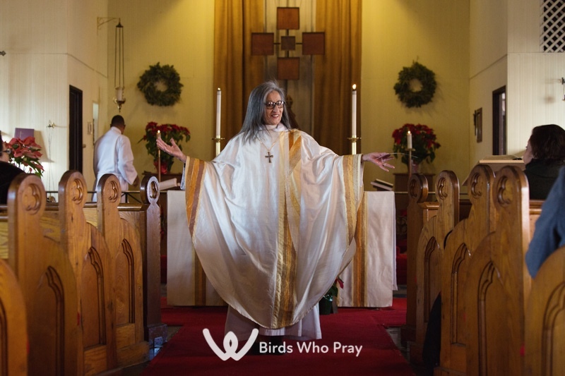  - Birds Who Pray