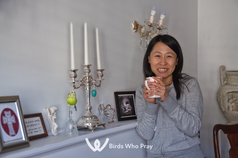  - Birds Who Pray