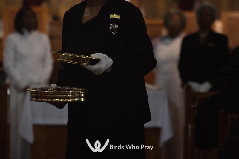  - Birds Who Pray