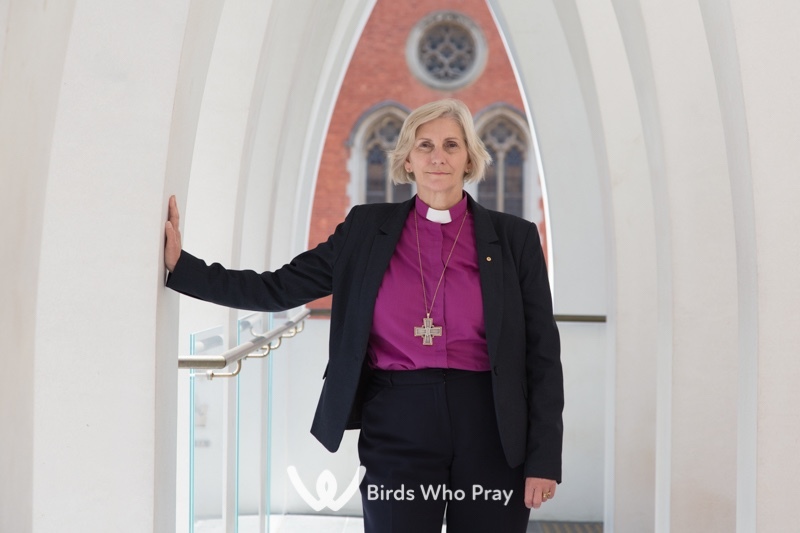  - Birds Who Pray