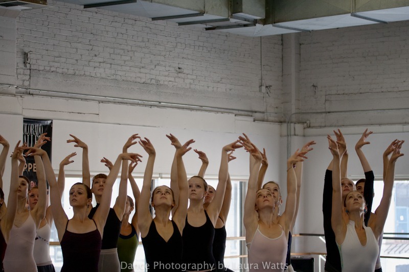 Colorado Ballet macro_052 - Colorado Ballet