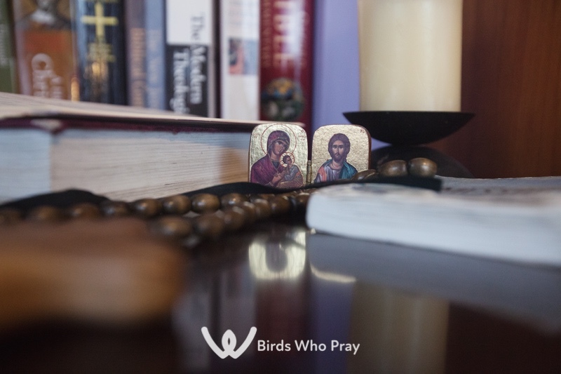  - Birds Who Pray